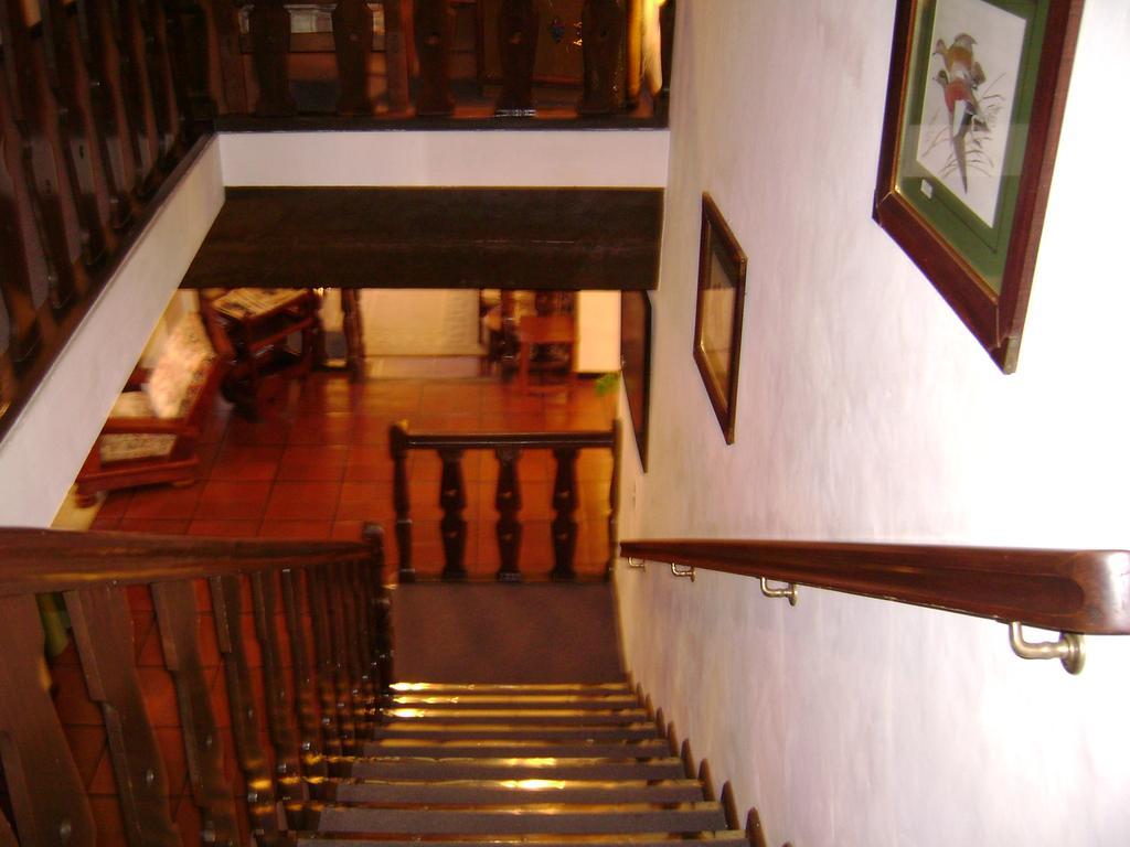 Hosteria La Masia San Martín de los Andes Exteriör bild